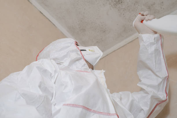 Best Forensic Mold Investigation  in Larksville, PA