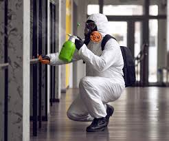 Best Asbestos and Lead Testing During Mold Inspection  in Larksville, PA